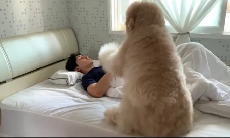 卧室